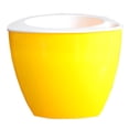 thumbnail image 1 of Lazy Plastic Flowerpot Hydroponic Gardening Color Triangular Plastic Flowerpot Automatic Suction Flowerpot, 1 of 4