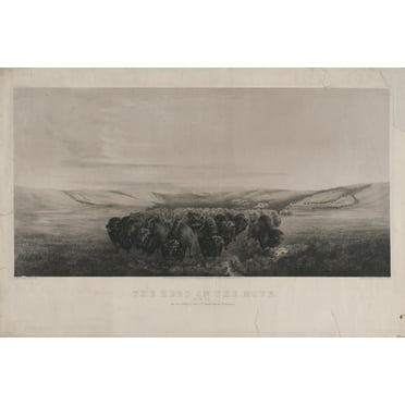 Print: The Herd On The Move, 1862