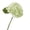 Light Green, variant on Real Touch Hydrangea Artificial Flowers, Realistic Latex Faux Hydrangeas Flowers for Home Decor Party Arrangements Wedding Bouquets Centerpieces (1Pcs,6 x 12 in)