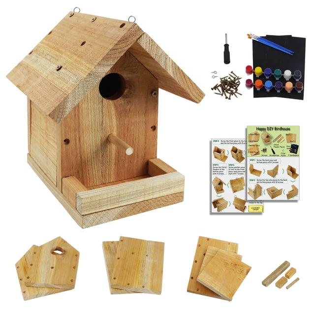 Kit de casita para pájaros Pontuss DIY de madera con set de pintura