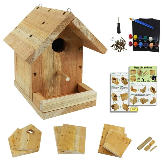 Kit de casita para pájaros Pontuss DIY de madera con set de pintura