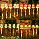thumbnail image 1 of Luces Solares Navideñas para El Suelo, 1 of 7