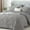 Grey, variant on Davulos Queen Comforter Set 7 Pieces,Grey Bed in a Bag for Bedroom All Season Bedding Sets with 1 Comforter,2 Pillow Shams,2 Pillowcases,1 Flat Sheet,1 Fitted Sheet