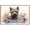 Cairn Terrier, variant on Golden Retriever Dog Canvas Bathroom Décor - Unique Bath Wall Decor - Modern Canvas Bathroom Wall Art - Room Decor - Bathroom Decorations - Restroom Sign - Wall decor living room