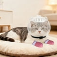 thumbnail image 4 of Breathable Cat Grooming , Anti-Bite Transparent Head Cover with 4 Silicone Paws for Nail Cutting in The Bathroom, 4 of 5