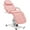 Pink, variant on BarberPub Power Reclining Massage Table, Adjustable Massage Bed, Faux Leather