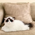 thumbnail image 7 of BESTSKY Cat Pets,Handmade Weighted Stuffed Animals,Cat Plush Toy,Ragdoll Cat, 7 of 7