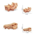 thumbnail image 4 of IROINID Modèle d'Animaux Anciens Tête Squelette Crâne Jouets Éducatifs Os Décor, 4 of 6