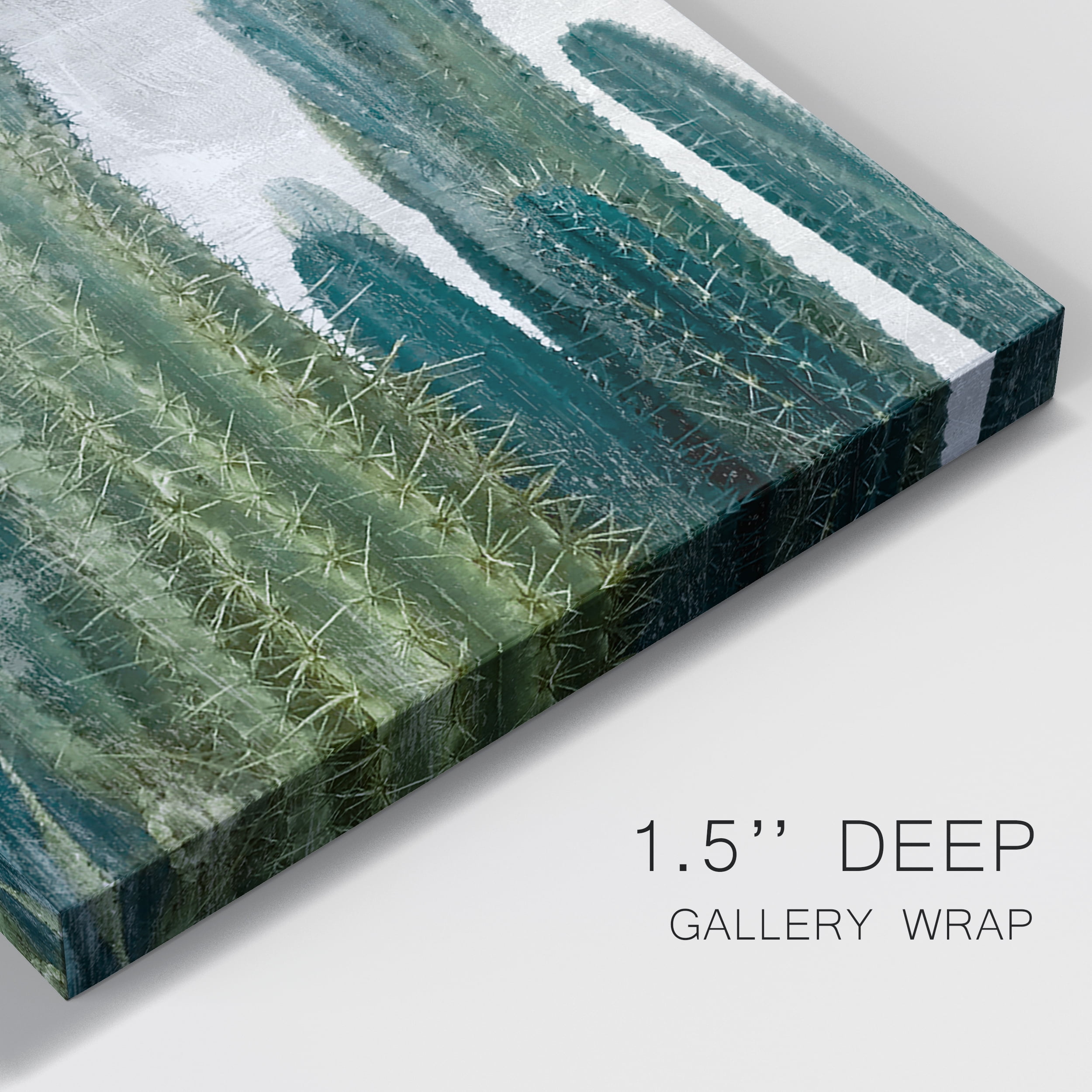 Aruba Cacti I Premium Gallery Wrapped Canvas - Ready to Hang - 8 x 12