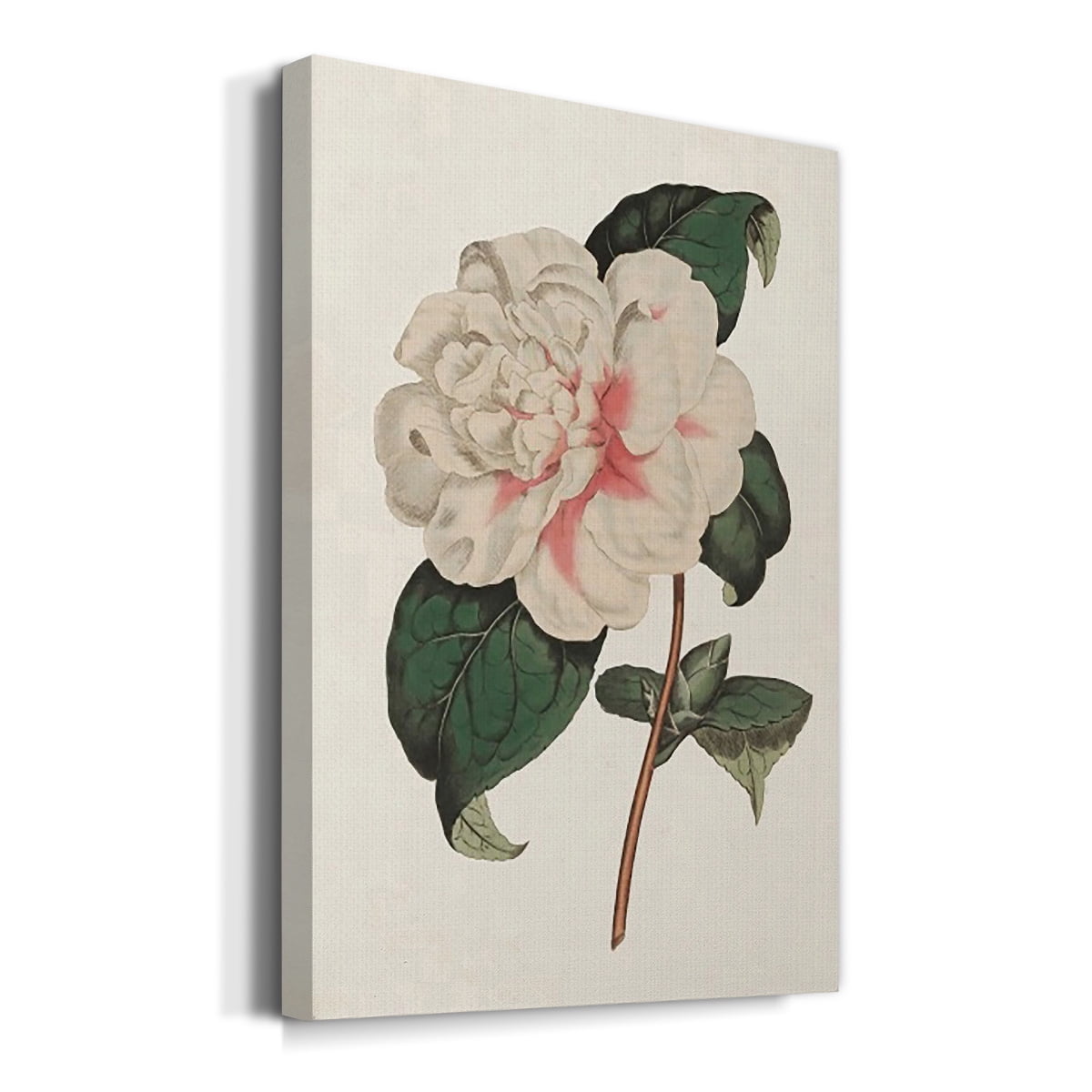 Pink Floral Mix VIII Premium Gallery Wrapped Canvas - Ready to Hang