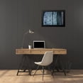 thumbnail image 4 of Sakai, Takane 24x17 Black Modern Framed Museum Art Print Titled - Challenger, 4 of 5