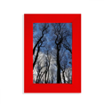 thumbnail image 1 of Ciel Bleu Vert Forêt Science Nature Paysage Image Affichage Art Rouge Cadre Photo, 1 of 4