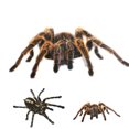 thumbnail image 3 of Kenally 1 uds/2 uds 3D pegatina de araña divertida cabeza de coche cola personalidad pegatinas de araña decoración DIY decoración Type3 NO3 Kenally CZ10675-01, 3 of 6