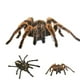 thumbnail image 5 of sweethay 1 uds/2 uds 3D pegatina de araña divertida cabeza de coche cola personalidad pegatinas de araña decoración DIY decoración Automoción decorativa y accesorios Negro sweethay CZ10675-01, 5 of 6