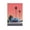Unframe-style, variant on Hiroshi Nagai Framed Wall Art Poster Posters Art Print Wall Photo Paint Poster Hanging Picture Family Bedroom Decor Gift 16x24inch(40x60cm)