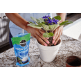 MiracleGro Water Storing Crystals 12 oz.