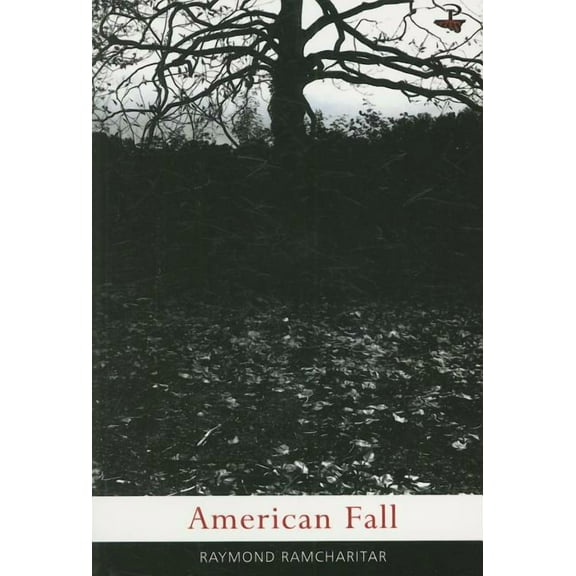 American Fall (Paperback)