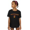 thumbnail image 2 of Harry Potter Girls Gryffindor Crest Cotton T-Shirt, 2 of 3
