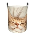 thumbnail image 1 of Balery Sleeping Cat In Blanket Cesta de ropa redonda con asas, impermeable, independiente, para ropa, juguetes, dormitorio y familia-Small, 1 of 6