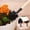Multicolor, variant on FeiFu Mini Garden Tools Set,Small Gardening Kit,Rust-Proof Metal with Wooden Handle, Indoor Tools for Bonsai Potted Horticultural Supplies Shovel Narrow Shovel