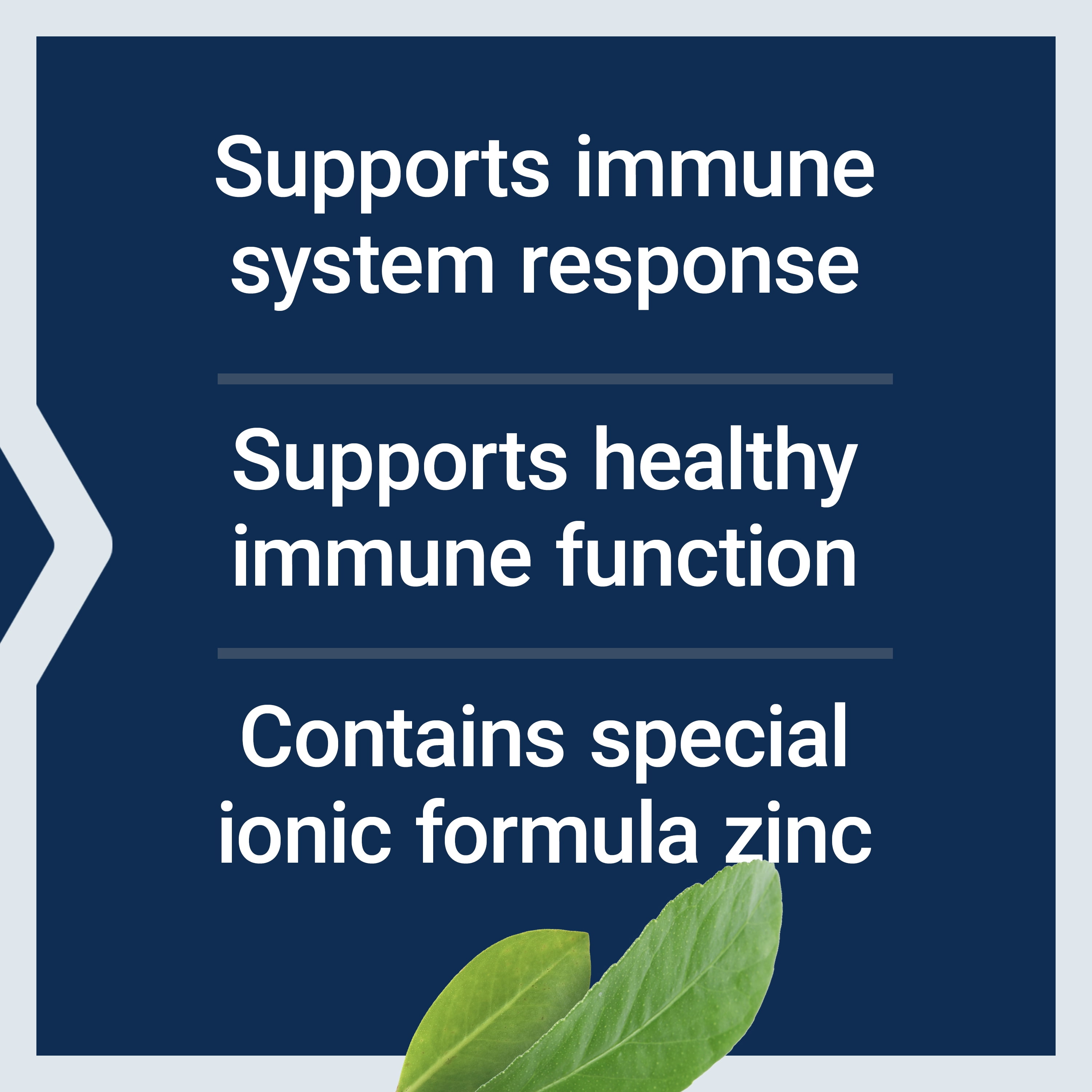 Life Extension Enhanced Zinc Lozenges, zinc acetate, optimal immune support, strong immune response, ionic zinc, non-GMO, gluten-free, vegetarian, 30 lozenges