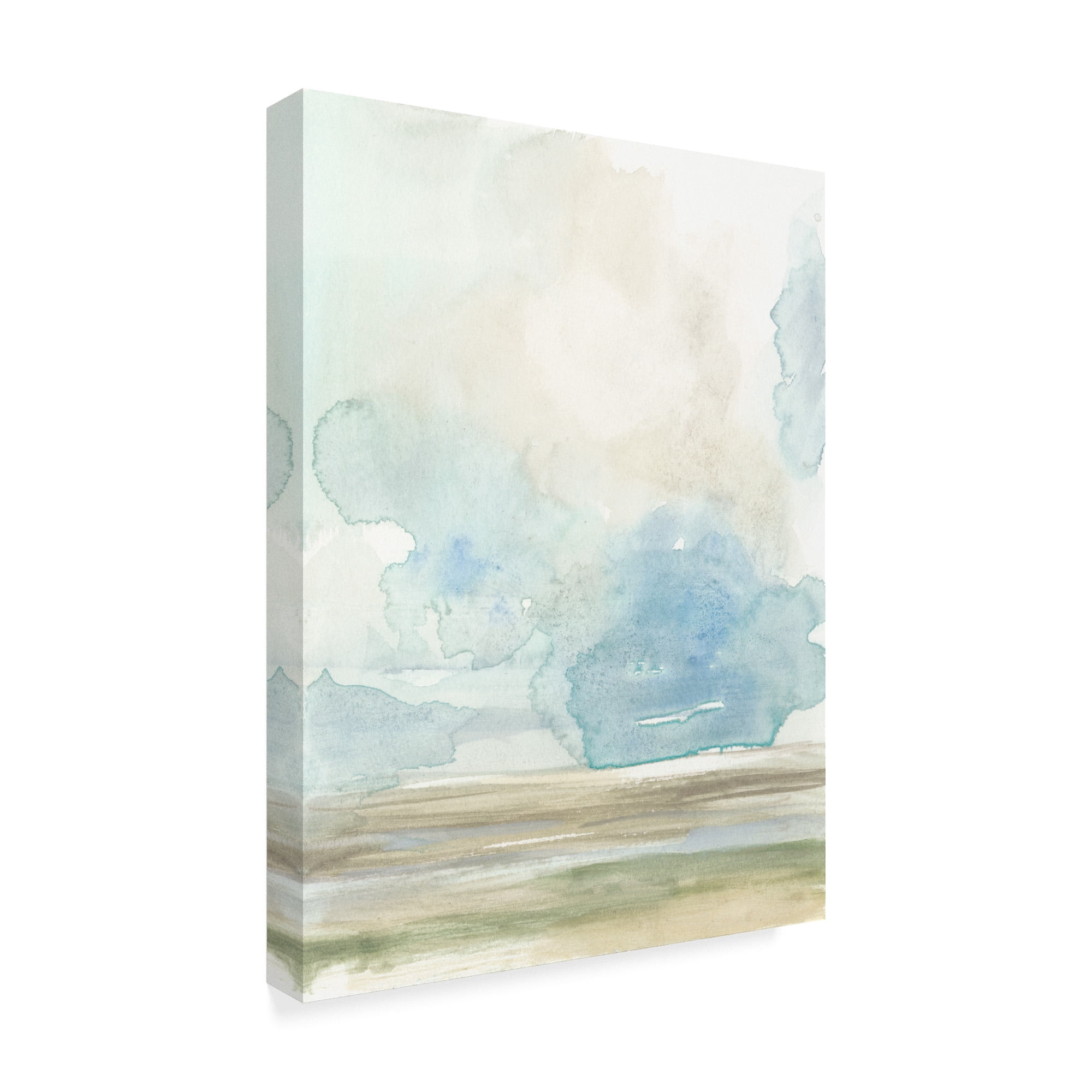 Trademark Fine Art 'Clouds over the Marsh I' Canvas Art by Jennifer Goldberger