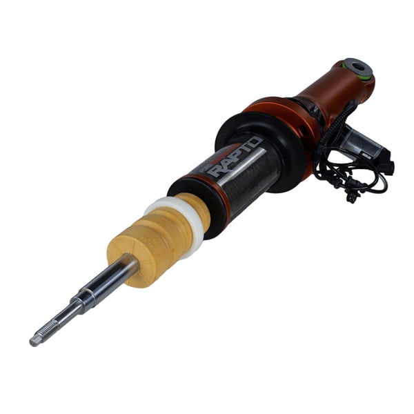 STRUT-SUSPENSION (P)