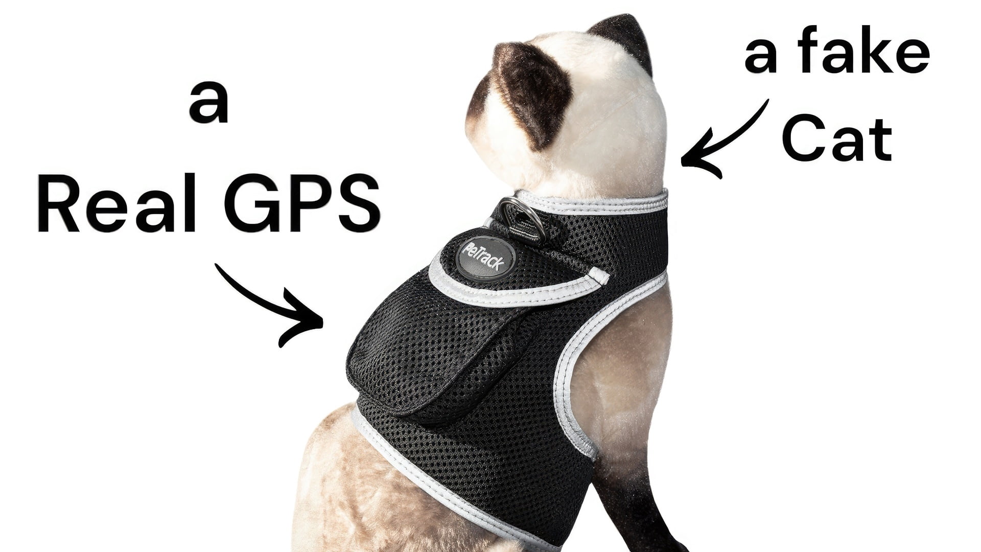 High Quality Portable Animal GPS Tracker Waterproof Collar Pet Locator Size:M
