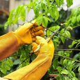 thumbnail image 3 of (jaune L)gants De Jardinage En Cuir Respirant Pour Homme Et Femme Avec Gant Anti-pine, Manches Longues En Cuir De Vache Pour Jardinier Et Fermier, 3 of 5