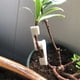 thumbnail image 4 of Clips de Entrenamiento de Plantas Monstrate 30 Piezas Accesorios de Jardín y Patio, 4 of 6