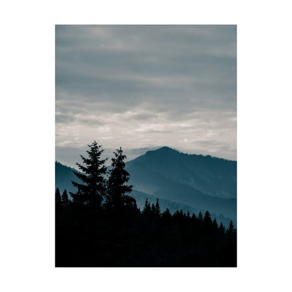 Trademark Fine Art 'Blue Mountains VII' Canvas Art by PhotoINC Studio