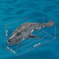 thumbnail image 2 of 2025 Remote Mosasaurus Toys For Kids, Mosasaurus Toy For, 2 of 5