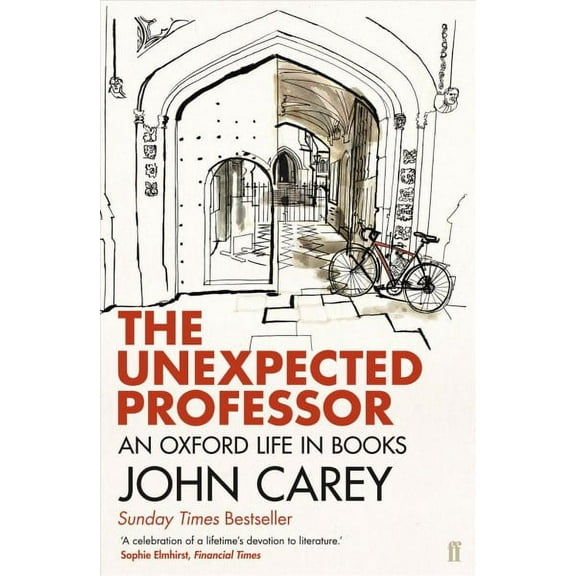 The Unexpected Professor - Carey, John