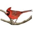 thumbnail image 3 of CafePress - Cardinal Mug - 11 oz Ceramic Mug - Novelty Coffee Tea Cup, 3 of 6