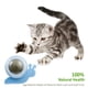 thumbnail image 4 of Bola de hierba gatera de caracol para gato limpieza giratoria de dientes juguete interactivo Molar suministros para mascotas Hugtrwg Para estrenar, 4 of 7