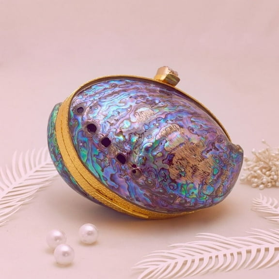 Different Craft India Natural Mermaid's Gilded 100% Genuine Abalone Shell Purse