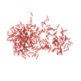 thumbnail image 4 of Juguetes de hormigas de plástico realistas para Modelo de simulación de marrón Sunnimix Juguete de figura animal insecto, 4 of 6