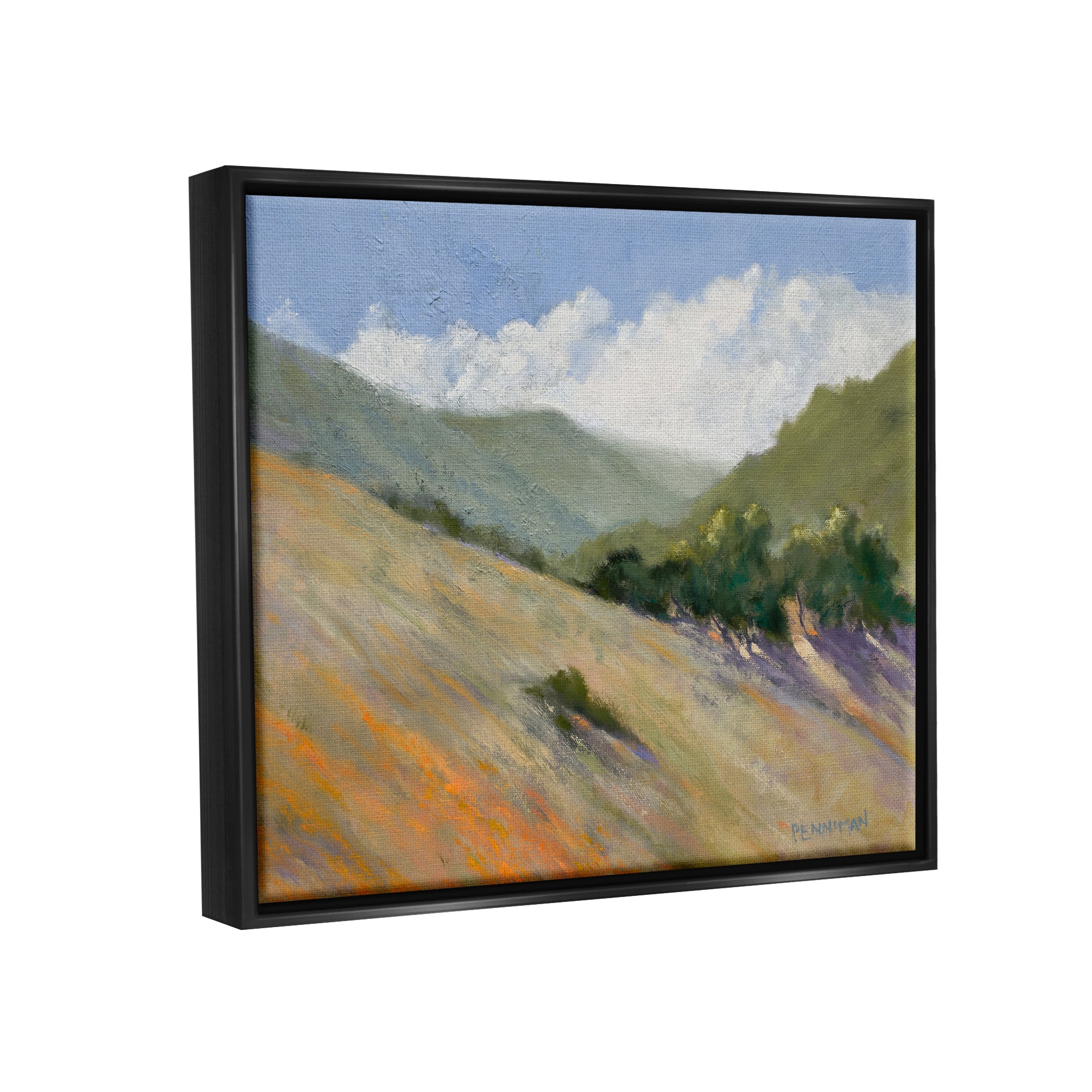 Stupell Sloped Nature Modern Landscape Landscape Painting Black Floater Framed Art Print Wall Art