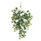 thumbnail image 1 of Ratán De Plástico 1 paquete de eucaliptos artificiales, peonías, enredaderas de ratán, decoración colgante para pared de salón interior, 80 x 35 x 35 cm Yulucky, 1 of 7
