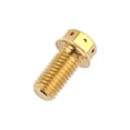 thumbnail image 2 of Wanyifa Titanium Flange Hex Head Bolt M10 20 25 30 35 40 45 50 55 60 65 70 75 80 85 90mm Screws,M10x30mm Pitch 1.25mm,Gold,4 Pcs, 2 of 6
