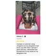 thumbnail image 3 of J'Organic Solutions Hair Growth Kit for Kids, 4-Piece Natural Hair Care Bundle, 3 of 8
