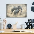 thumbnail image 4 of Epic Art ' Elephants' by Helene Sobol, Acrylic Glass Wall Art, 16"x12", 4 of 8