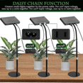 thumbnail image 5 of Table Top Grow Light 200W, Desk Grow Lights for Indoor Plants, UV-IR Full Spectrum Plant Growing Lamp Height Adjustable, 5 of 5