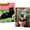Cat, variant on Mosaflare Diamond Art Painting Kits,2-Pack Love Beach Craft Kits,Full Round Drill,Home Wall and Relaxing 12"×16"