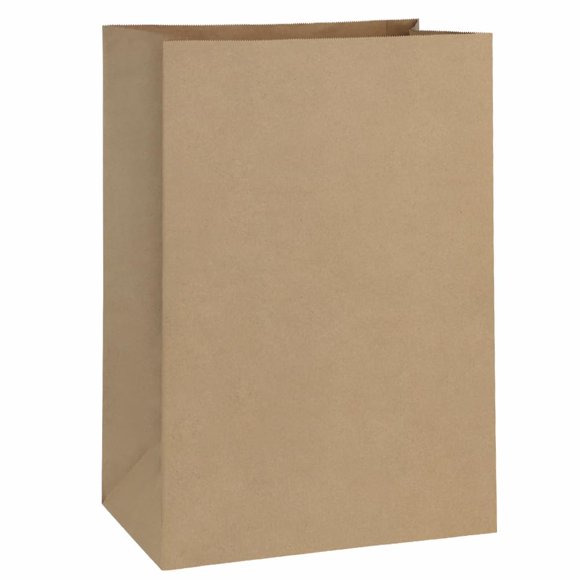 BagDream Grocery Bags 12x7x17 Inches 100Pcs Heavy Duty Kraft Paper Grocery Bags Durable Paper Barrel Sack Bags Kraft Paper Gift Bags Bulk 100Pack Brow