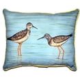 thumbnail image 2 of Yellow Legs Large Indoor/Outdoor Pillow 16x20, 2 of 3