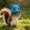 Blue, variant on Squirrel-Shaped Outdoor Feeder, Whimsical Animal Garden Feeding Station and Yard Ornament, Decorative Wildlife Accessory for Patio, Lawn, Tree and Backyard, Black