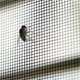 thumbnail image 4 of Filter Screen Sheets Stainless Steel Air Vent Mesh Cover Wire Mesh Roll 30x120cm Woven Wire 30 Mesh, 4 of 5