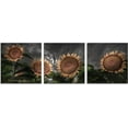 thumbnail image 3 of Dark Sunflower Wall Art Canvas Sunflower Decor Black Pictures on Wall Art for Home Office Decorations Living Room Bedroom and Kitchen Decor 3 Pcs Stretched and Framed Canvas Prints 12X12inches, 3 of 6