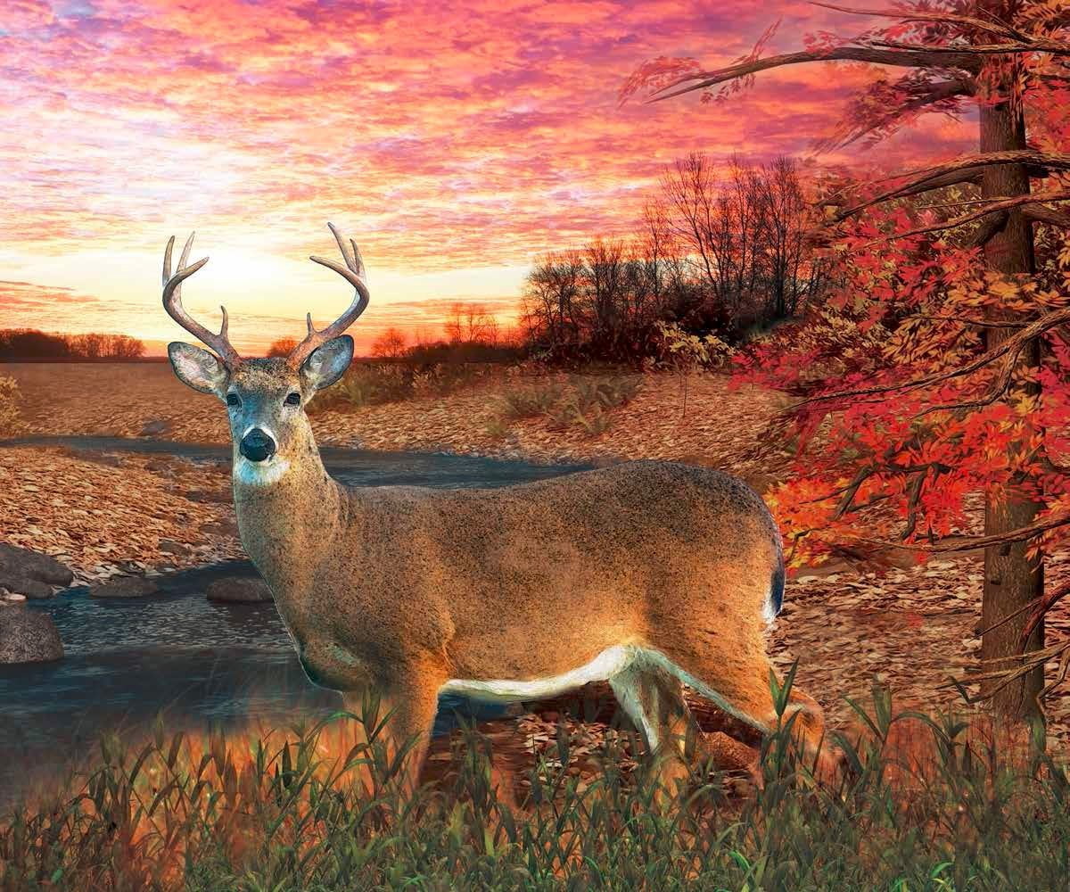 Deer in Autumn Setting Fleece Throw Blanket 50" x 60"